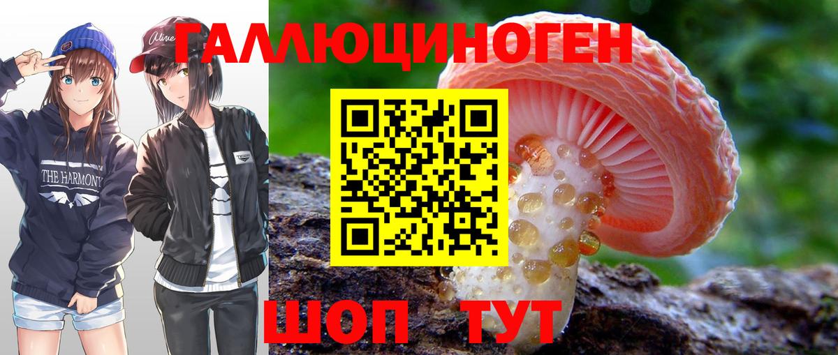 Галлюциногенные грибы ЛСД Владимир