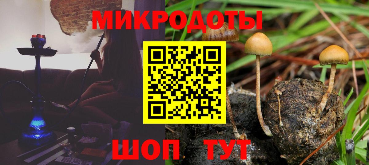 Галлюциногенные грибы Psilocybine cubensis  Вход с VPN  Владимир  где купить наркоту  Псилоцибиновые грибы Psilocybe 